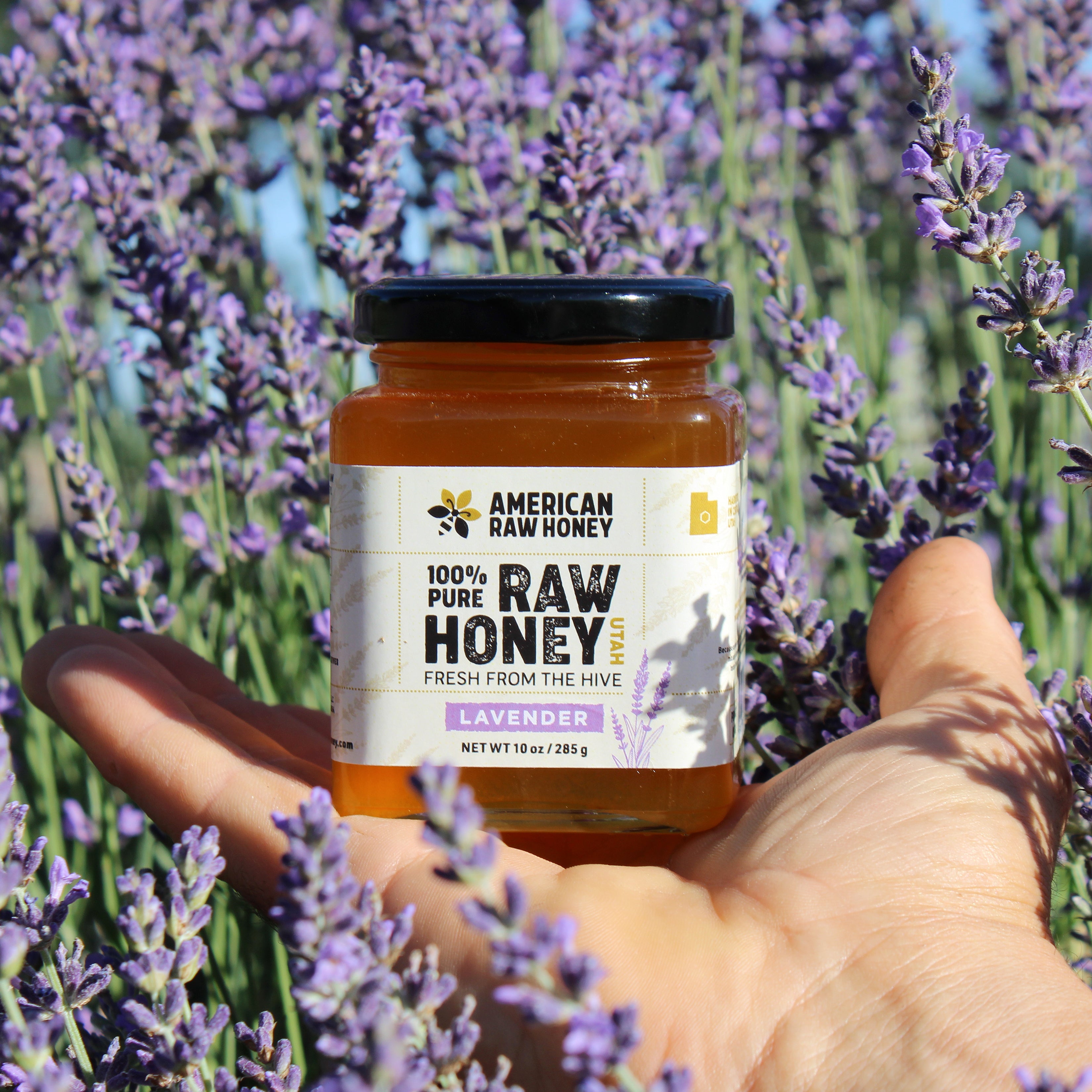 lavender flower honey Raw, Natural Unpasteurized & Unfiltered Lavender Honey – American Raw Honey